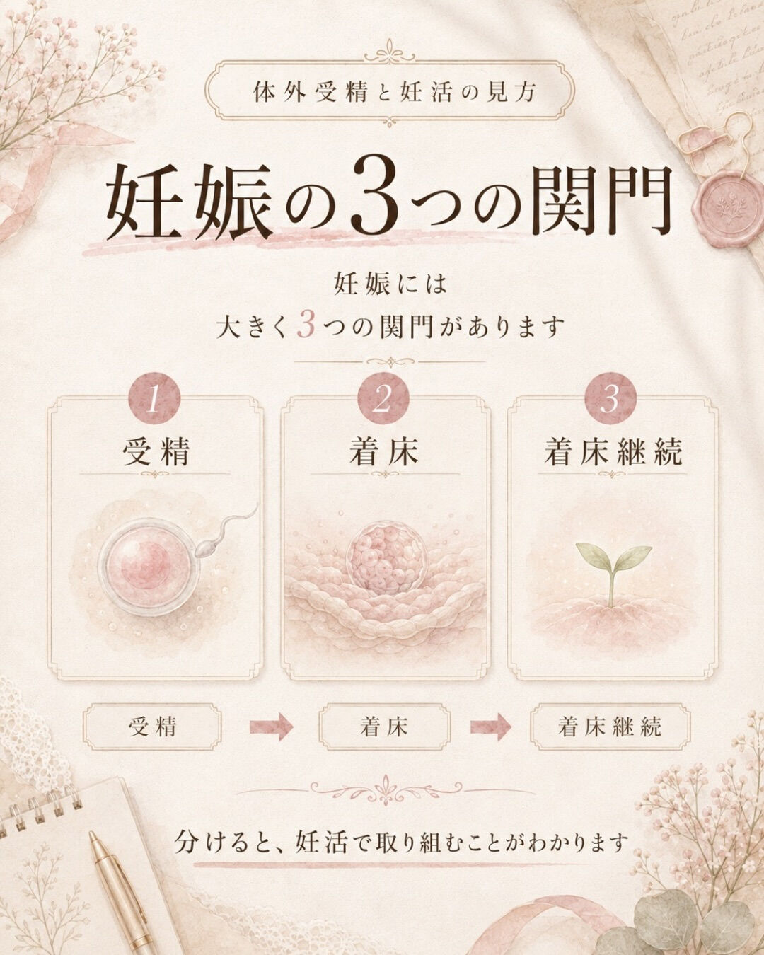 体外受精を受ければ、