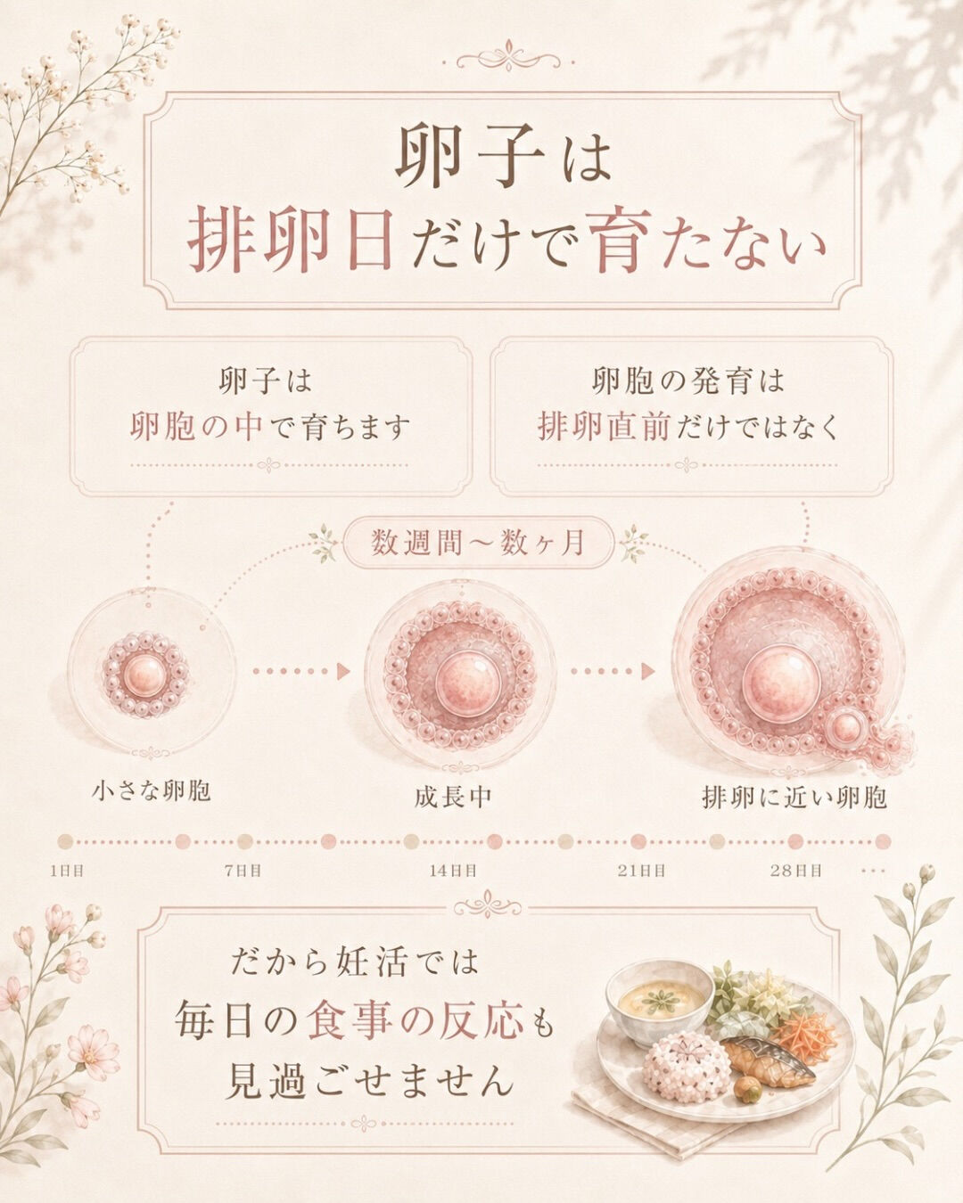 妊活中、食後すぐ眠くなる人へ