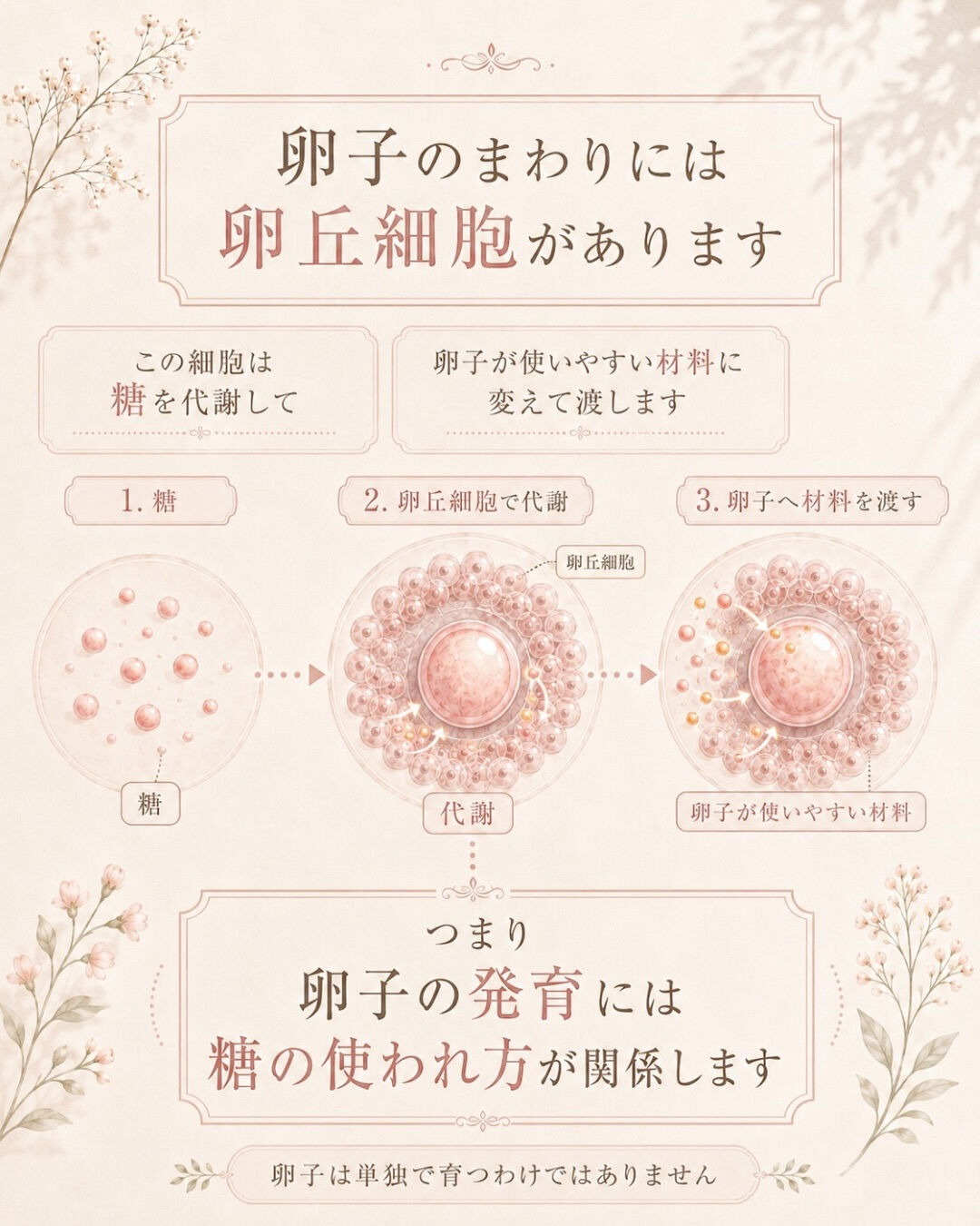 妊活中、食後すぐ眠くなる人へ