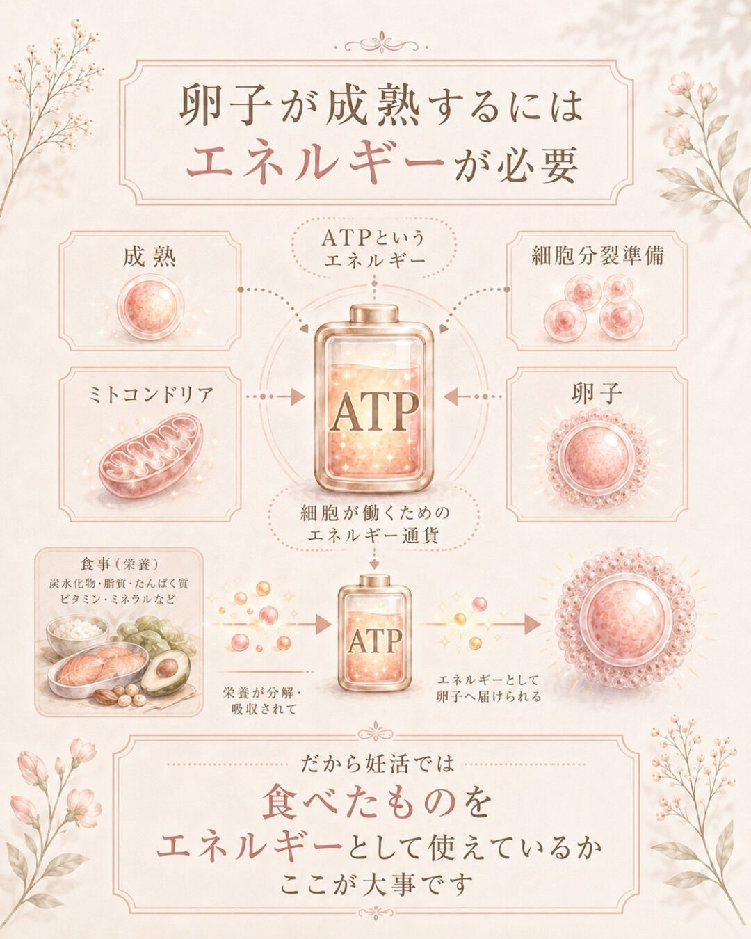 妊活中、食後すぐ眠くなる人へ