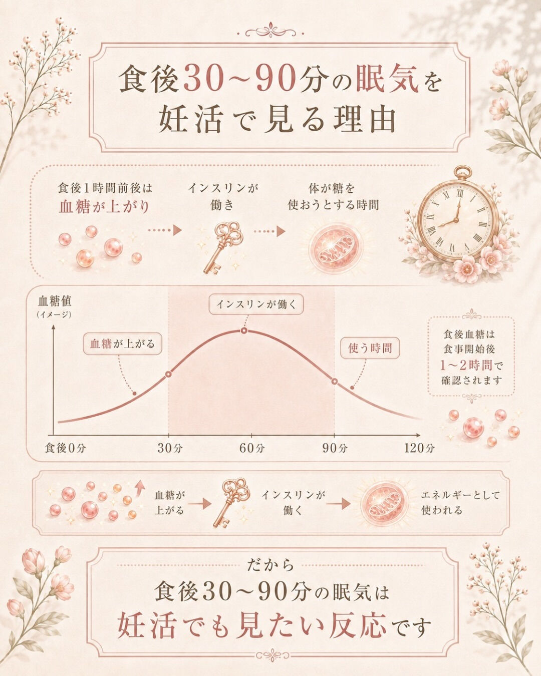 妊活中、食後すぐ眠くなる人へ