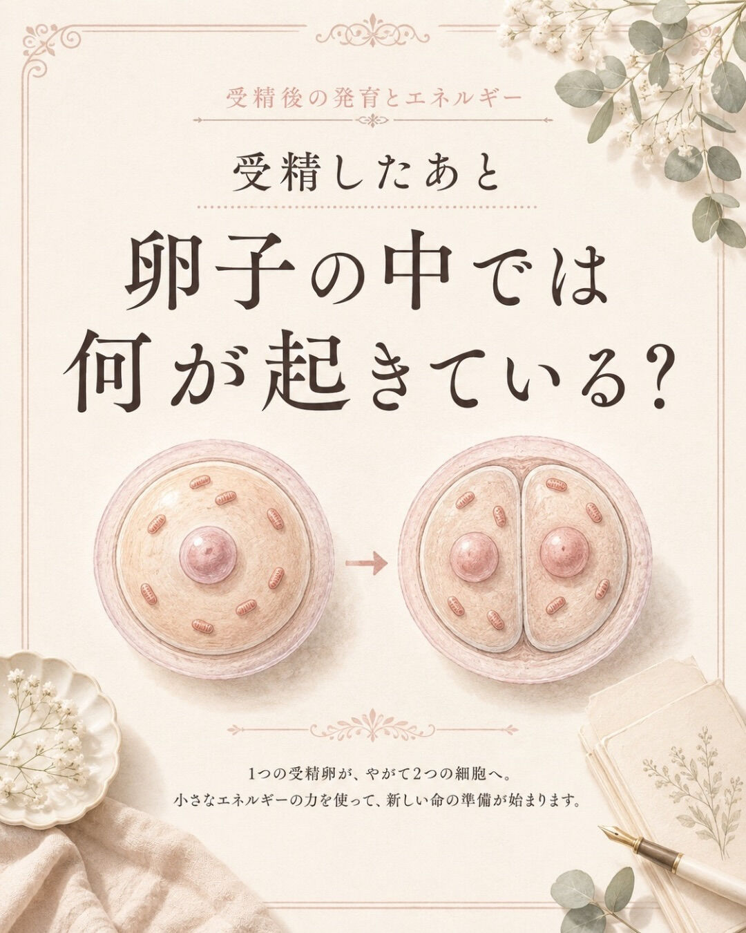 「運動は妊活にいい」