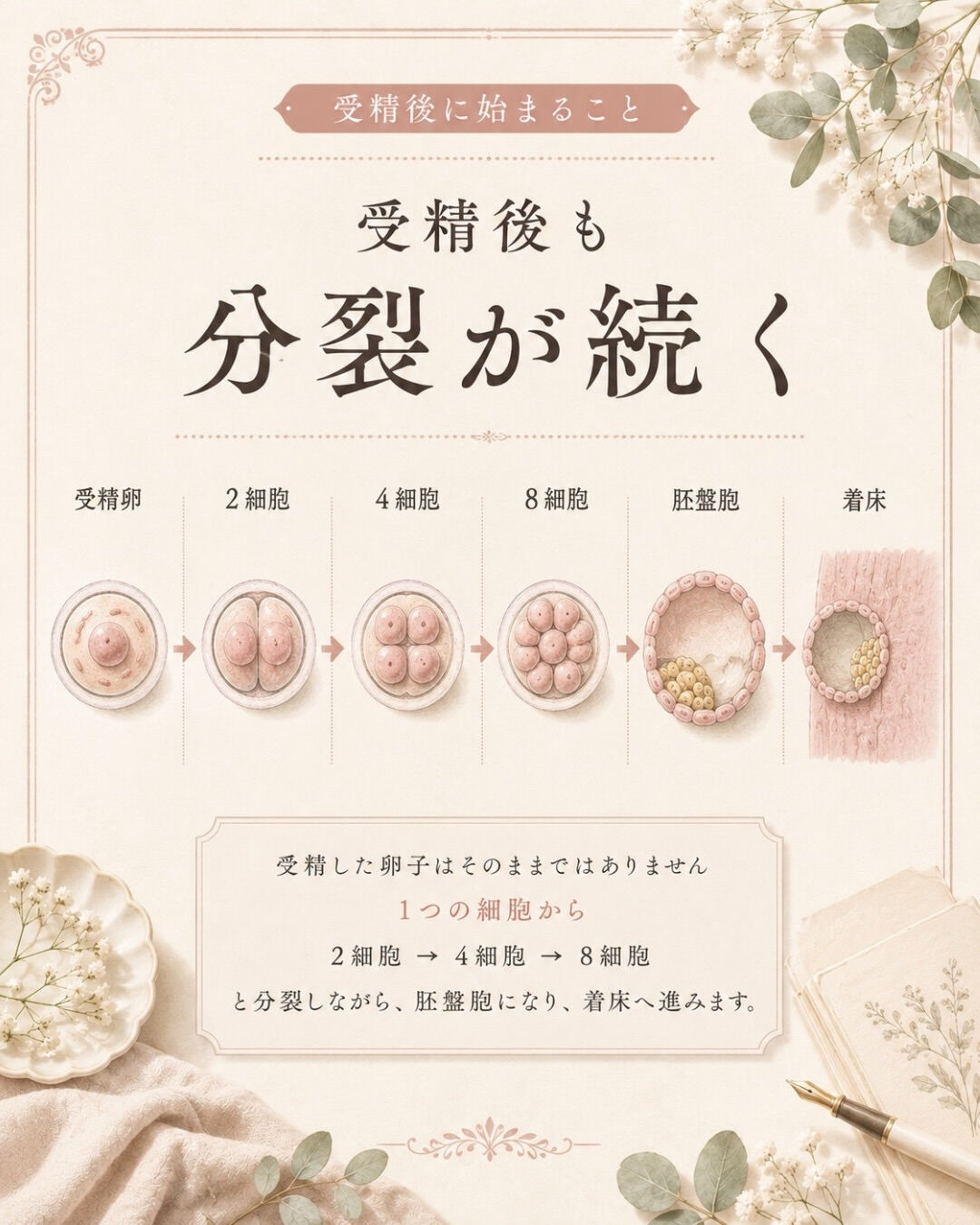 「運動は妊活にいい」