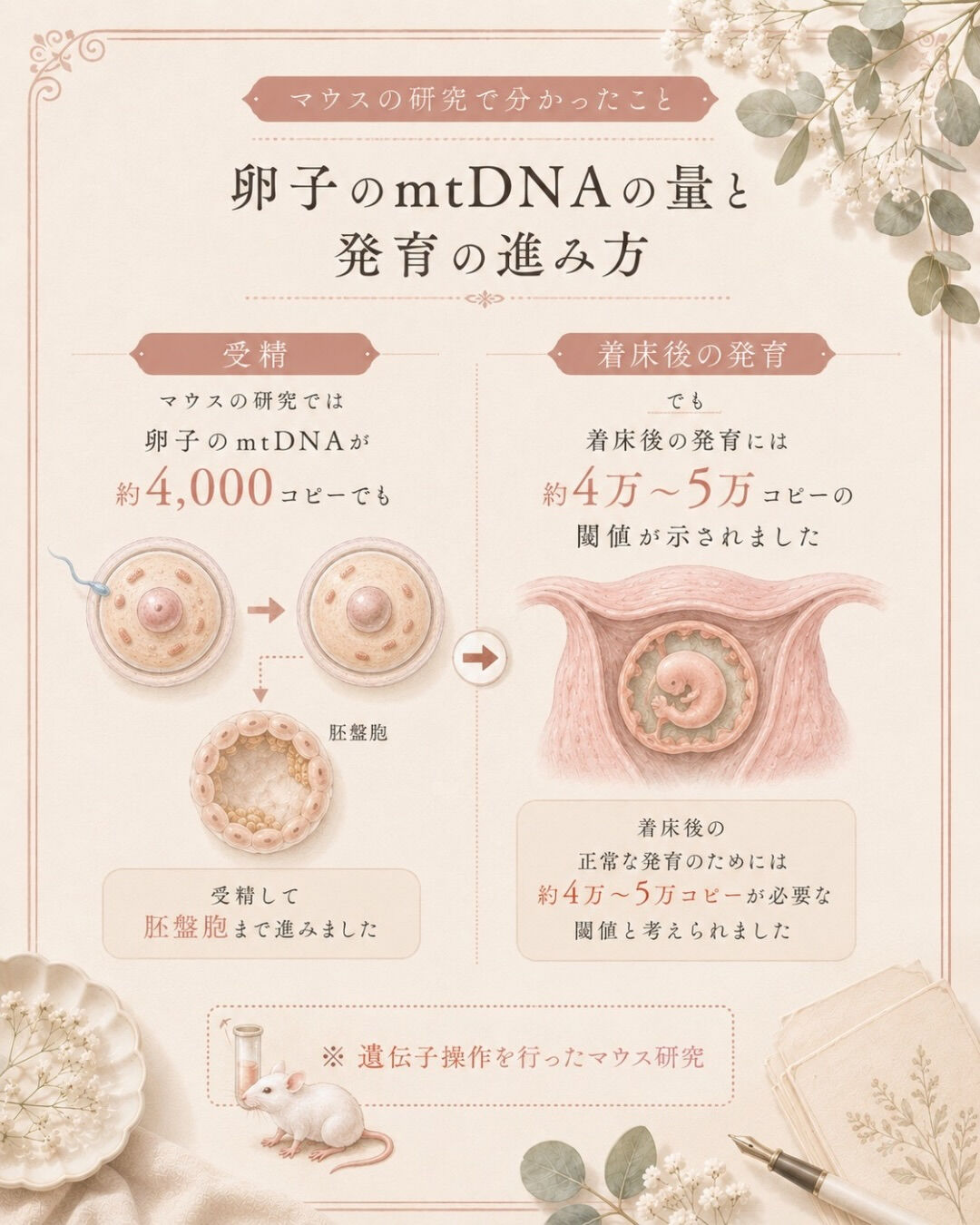 「運動は妊活にいい」