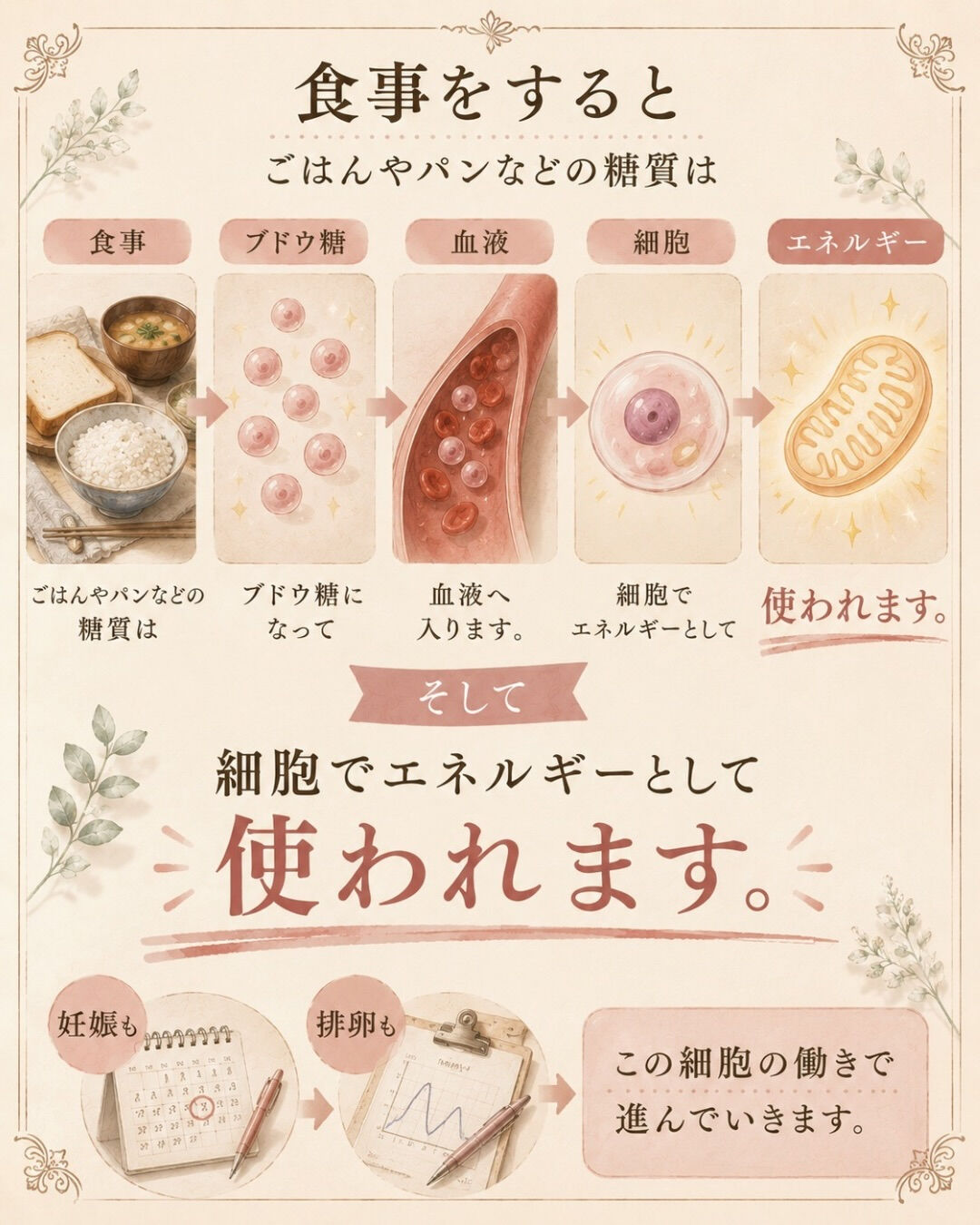 昼ごはんを食べると、毎日眠くなる