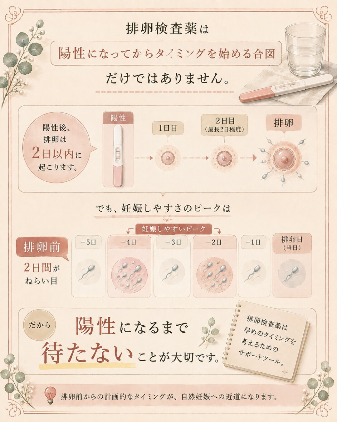 排卵日だけタイミングを取っている