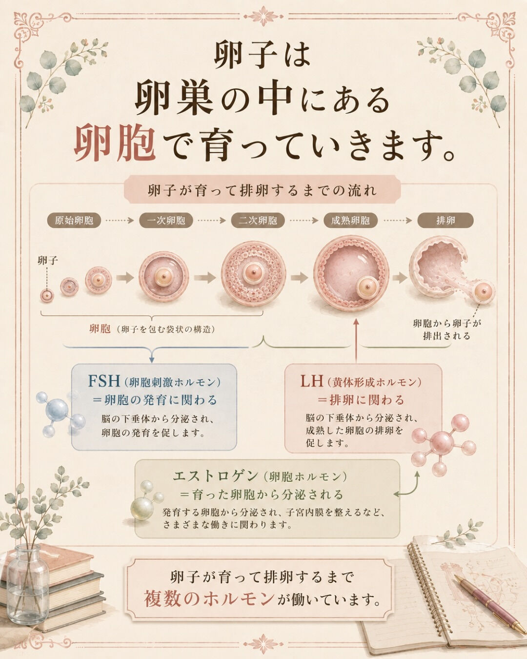 妊活中、