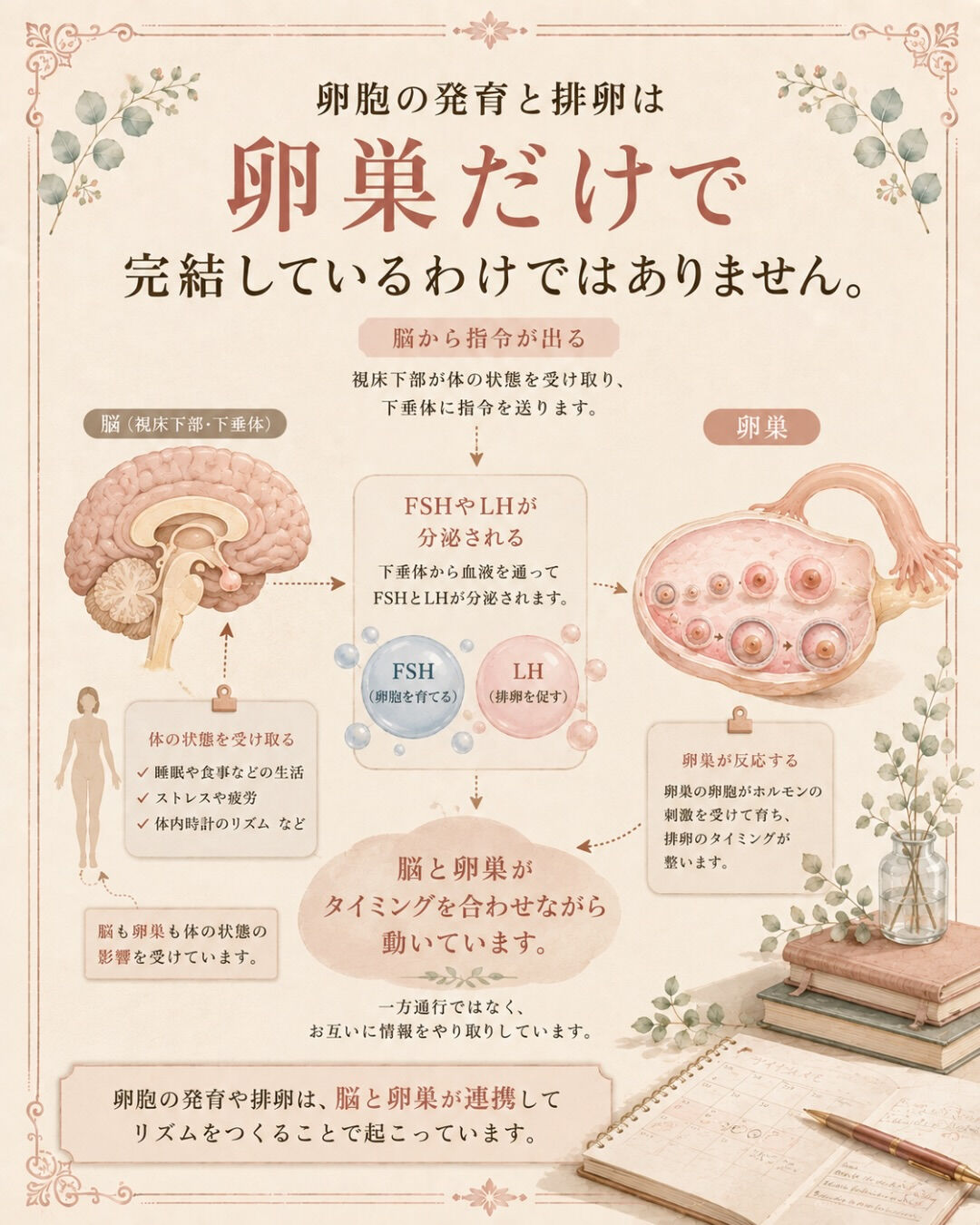 妊活中、