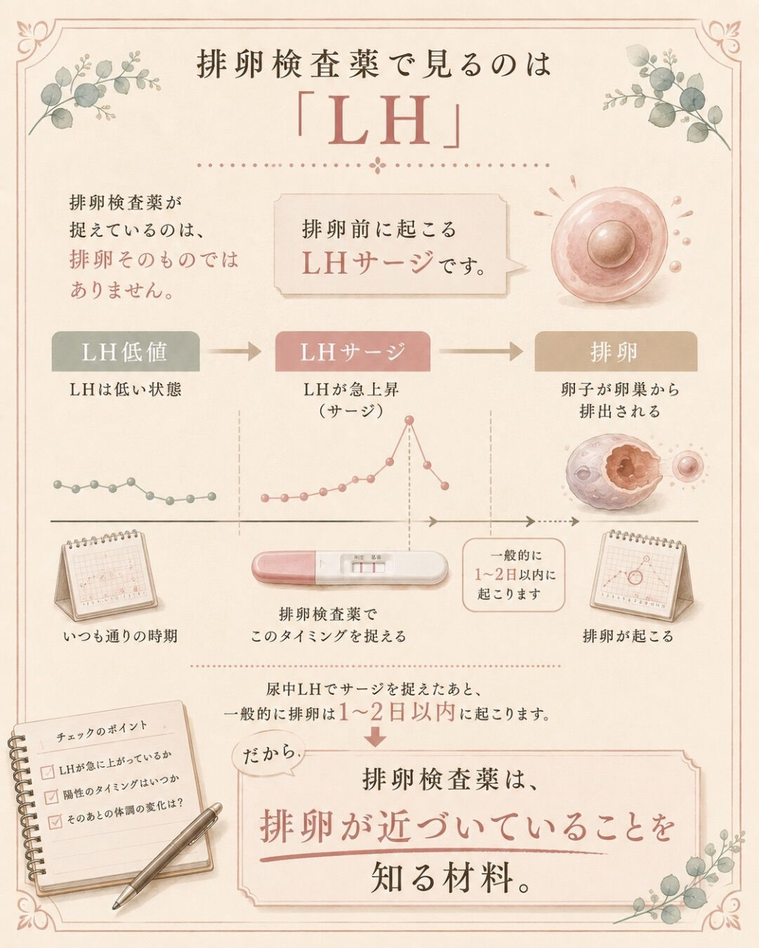 妊活を始めたら、