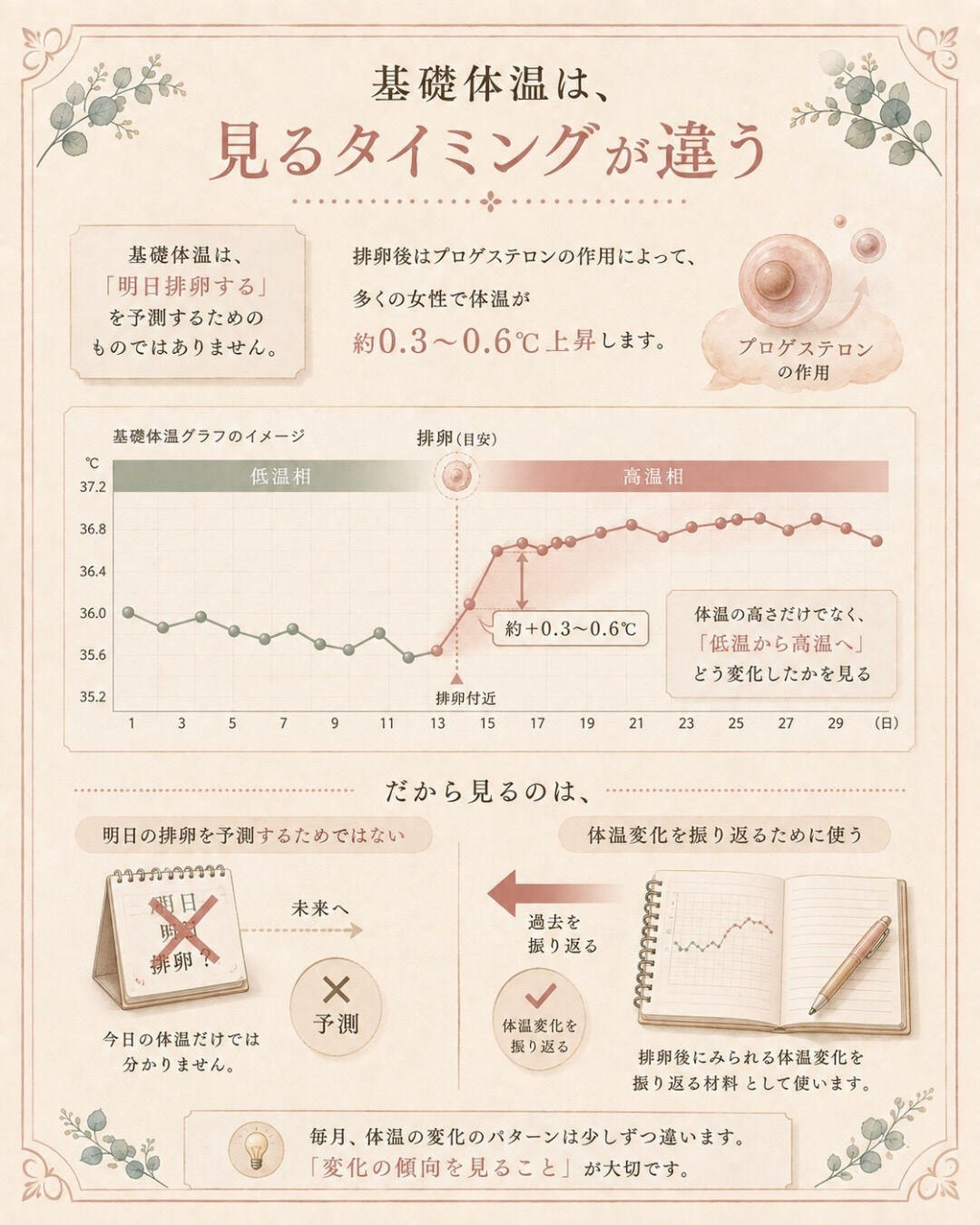 妊活を始めたら、