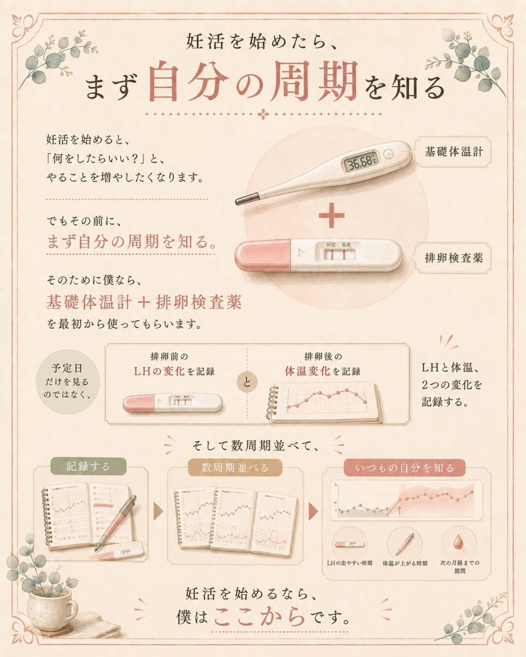 妊活を始めたら、