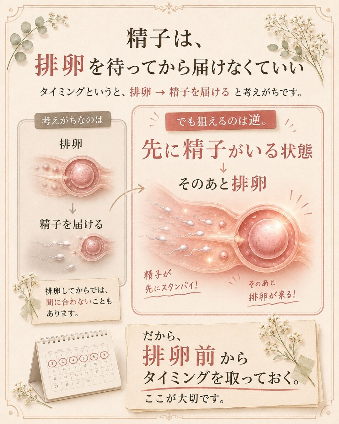 排卵検査薬、