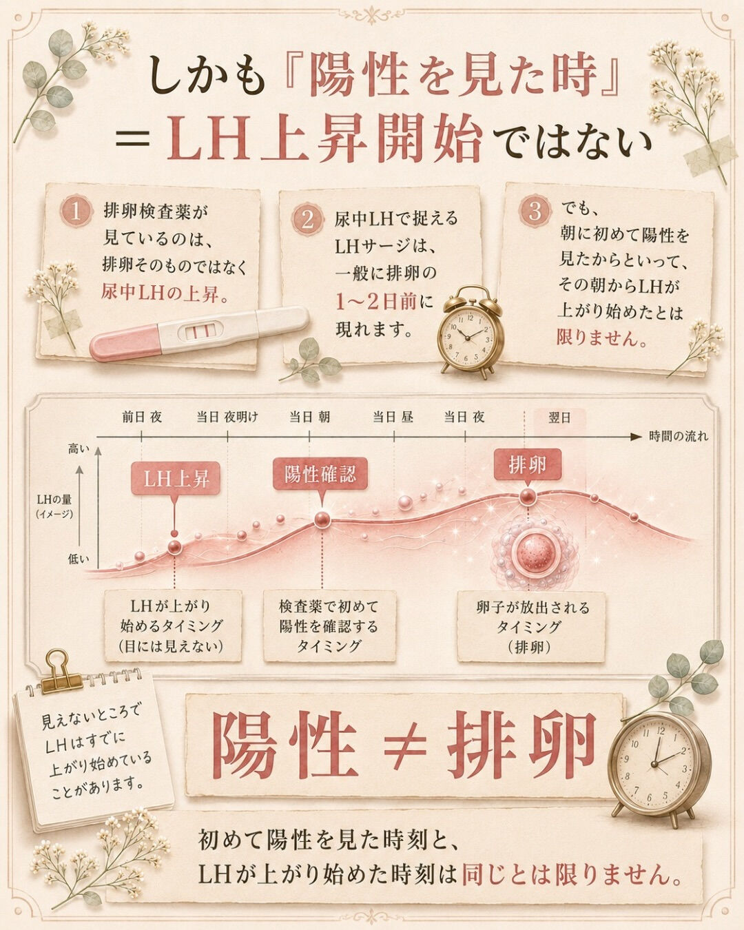 排卵検査薬、