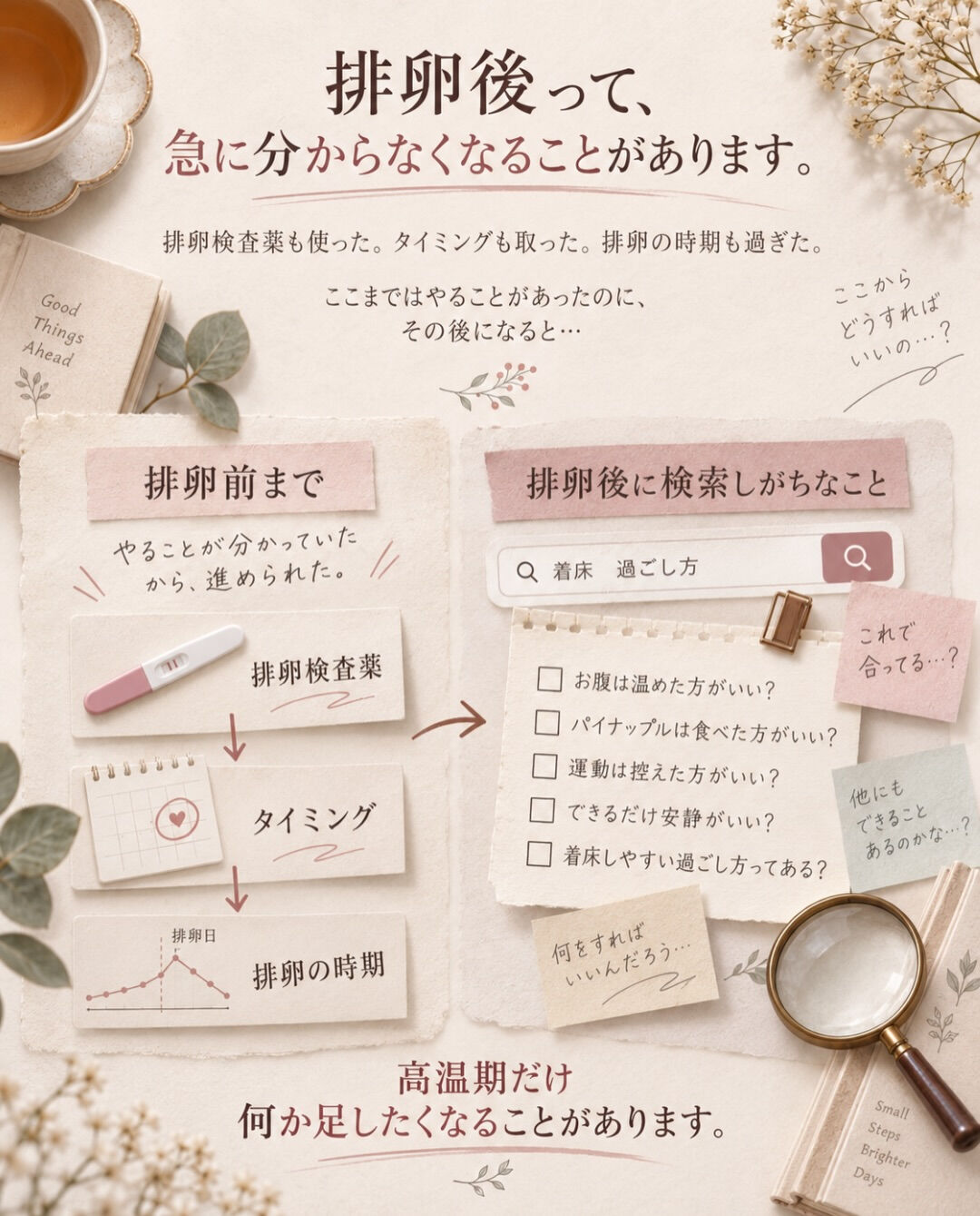 排卵後になると、
