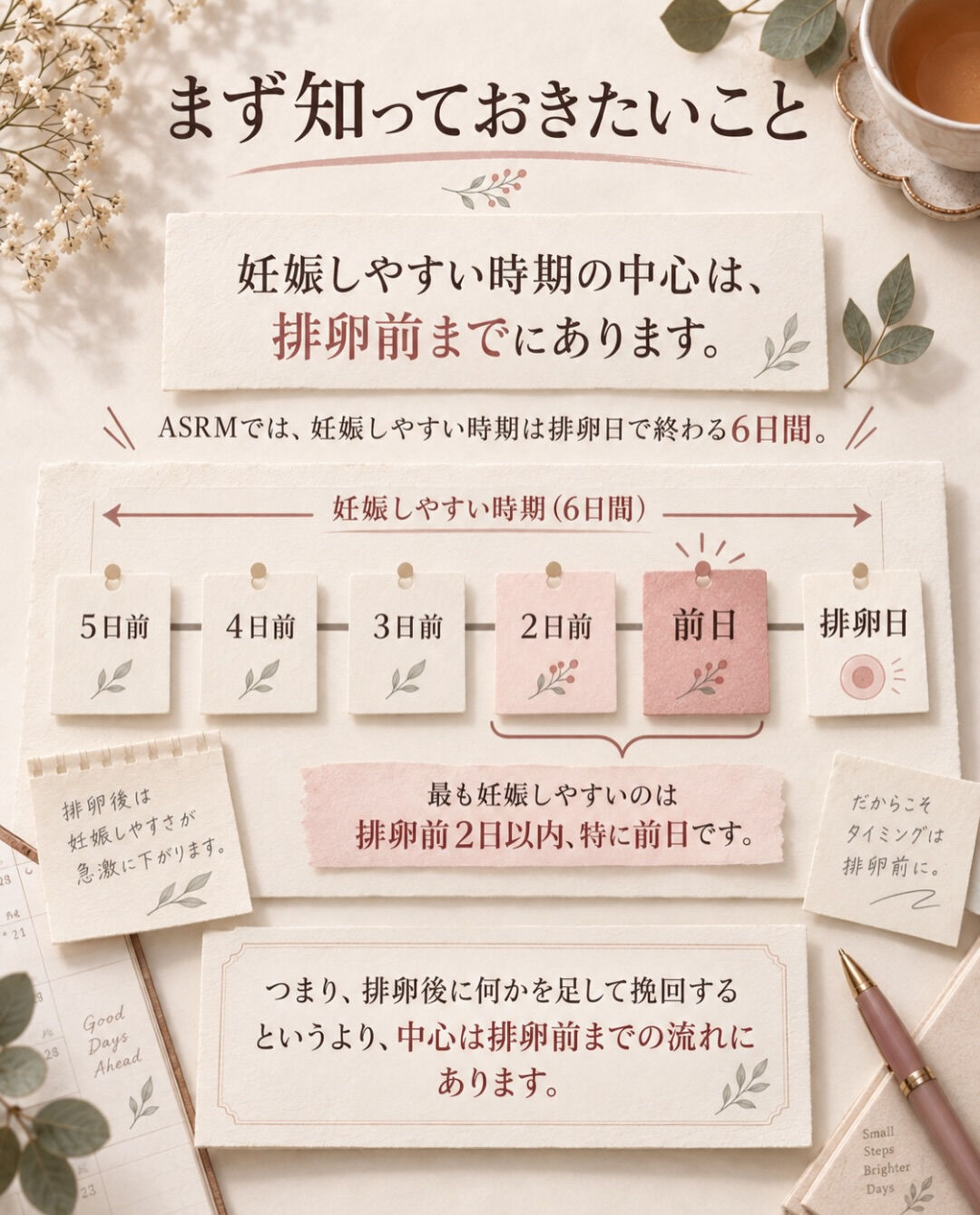 排卵後になると、