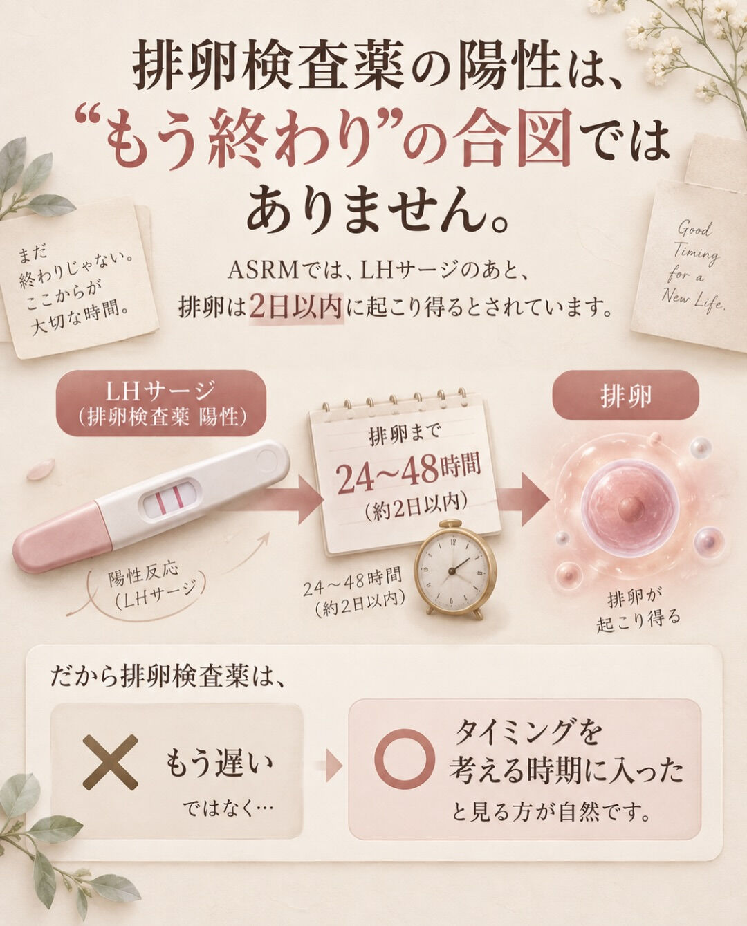 排卵後になると、