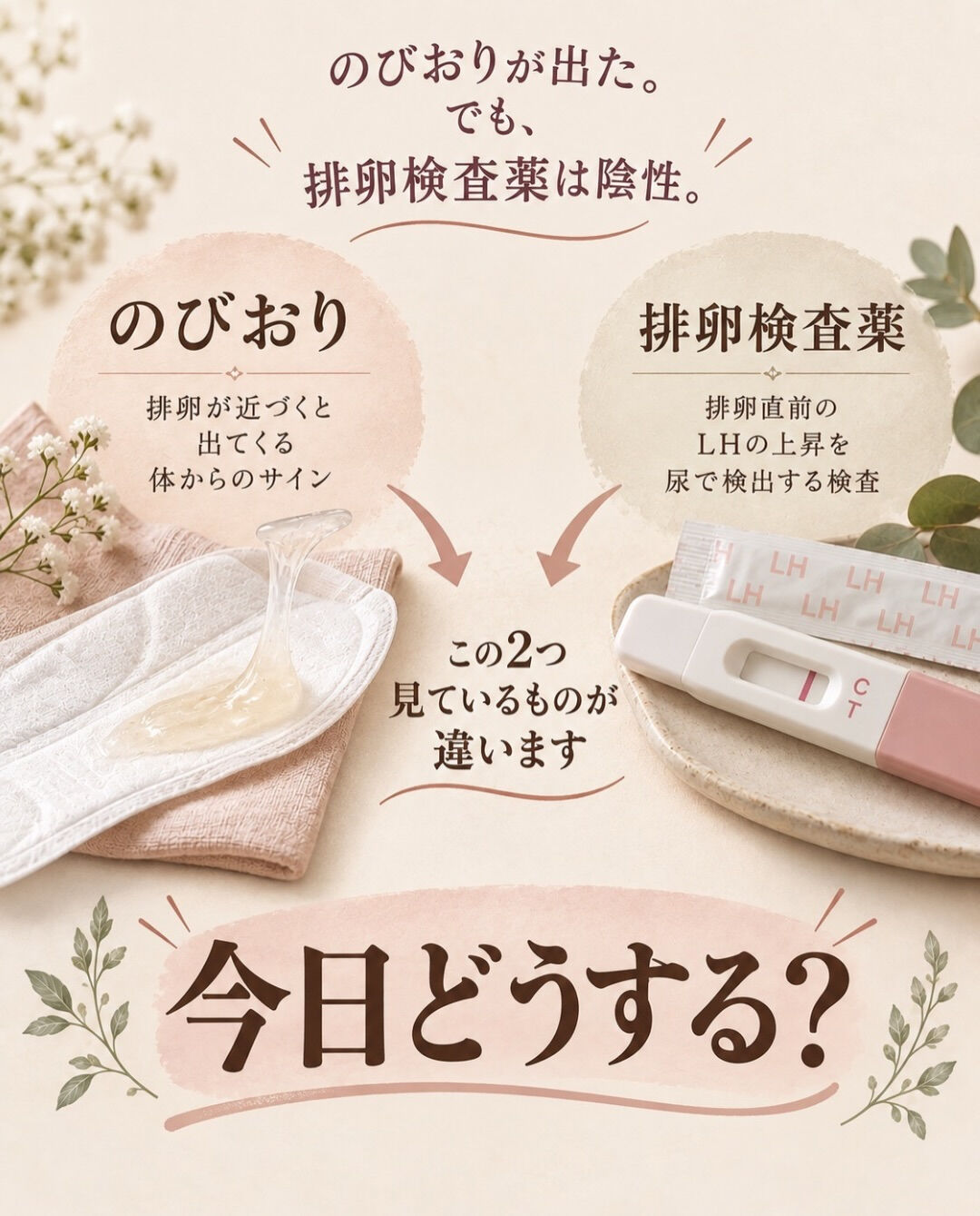 のびおりと排卵検査薬は、