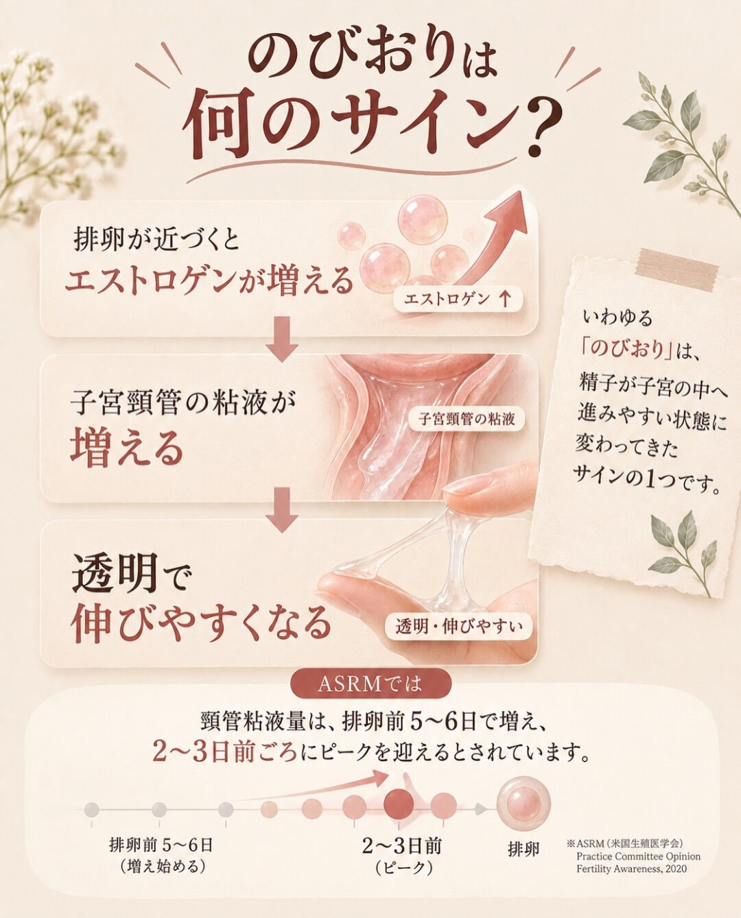 のびおりと排卵検査薬は、