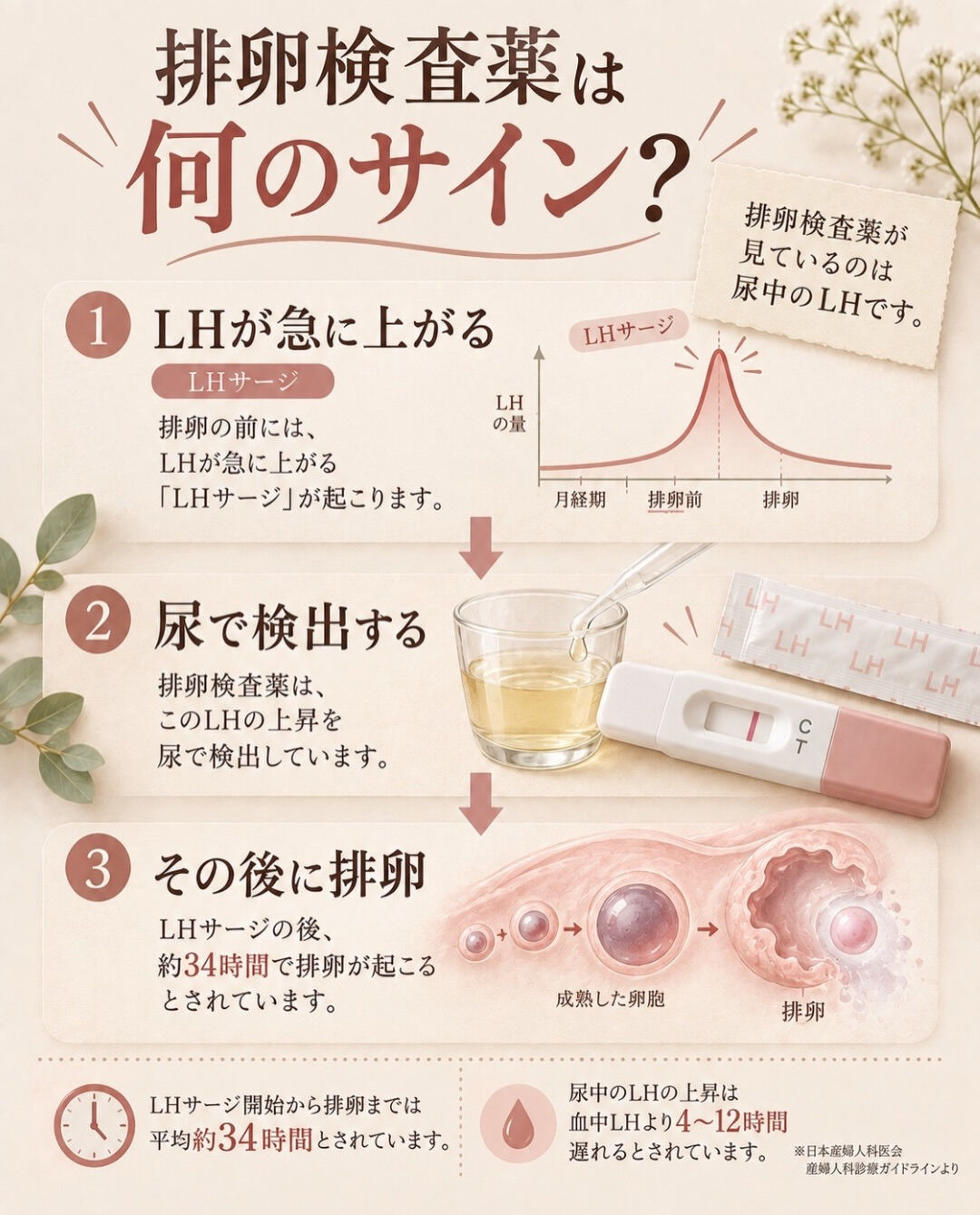 のびおりと排卵検査薬は、