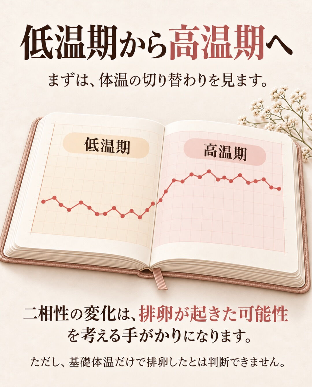 基礎体温、毎朝測っているけど、どう見ればいいの？