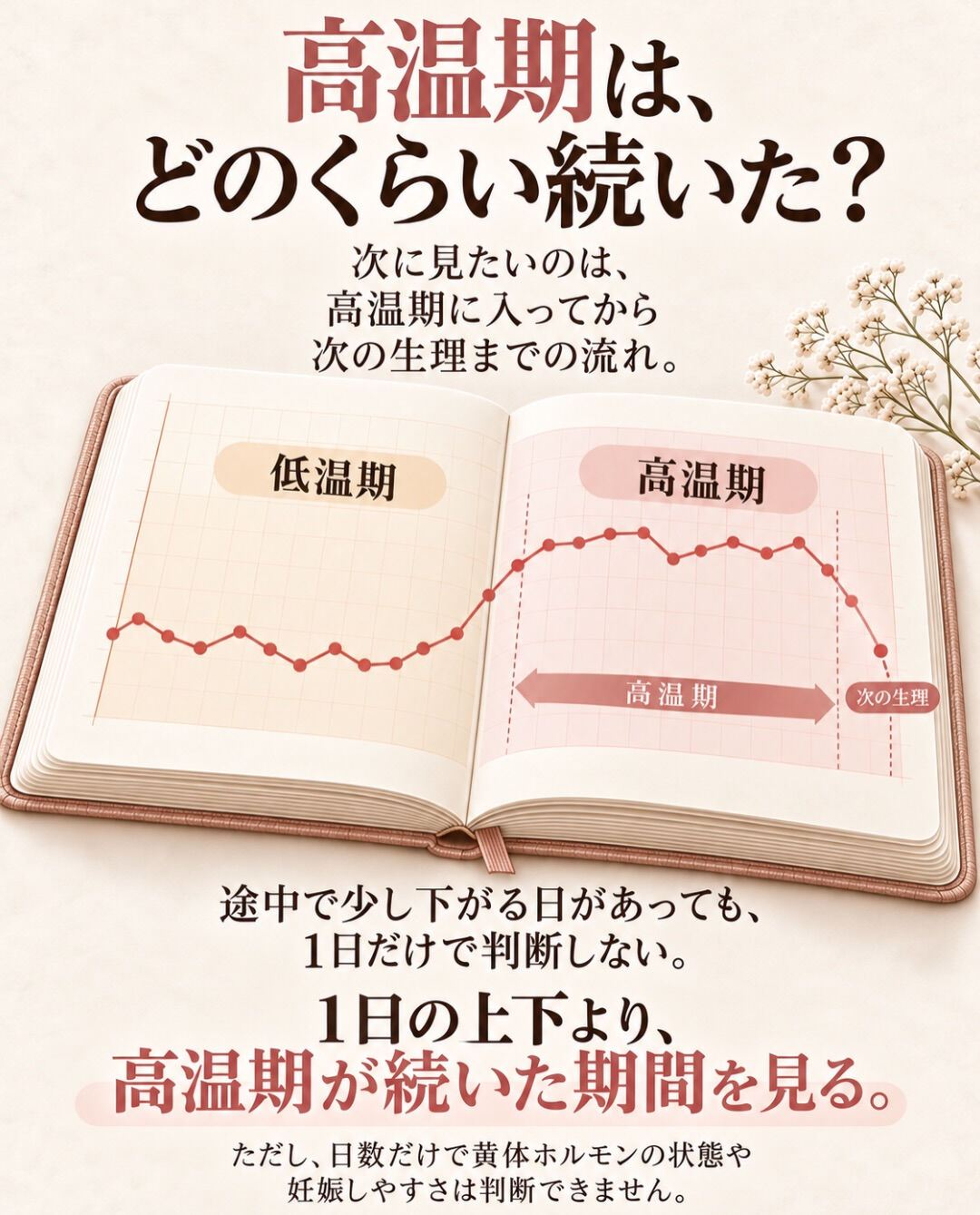 基礎体温、毎朝測っているけど、どう見ればいいの？
