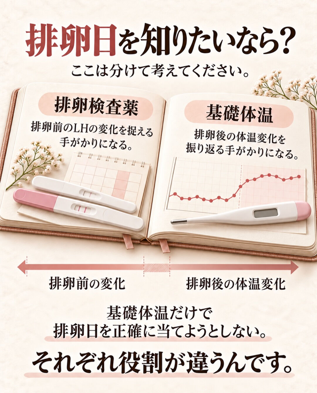 基礎体温、毎朝測っているけど、どう見ればいいの？