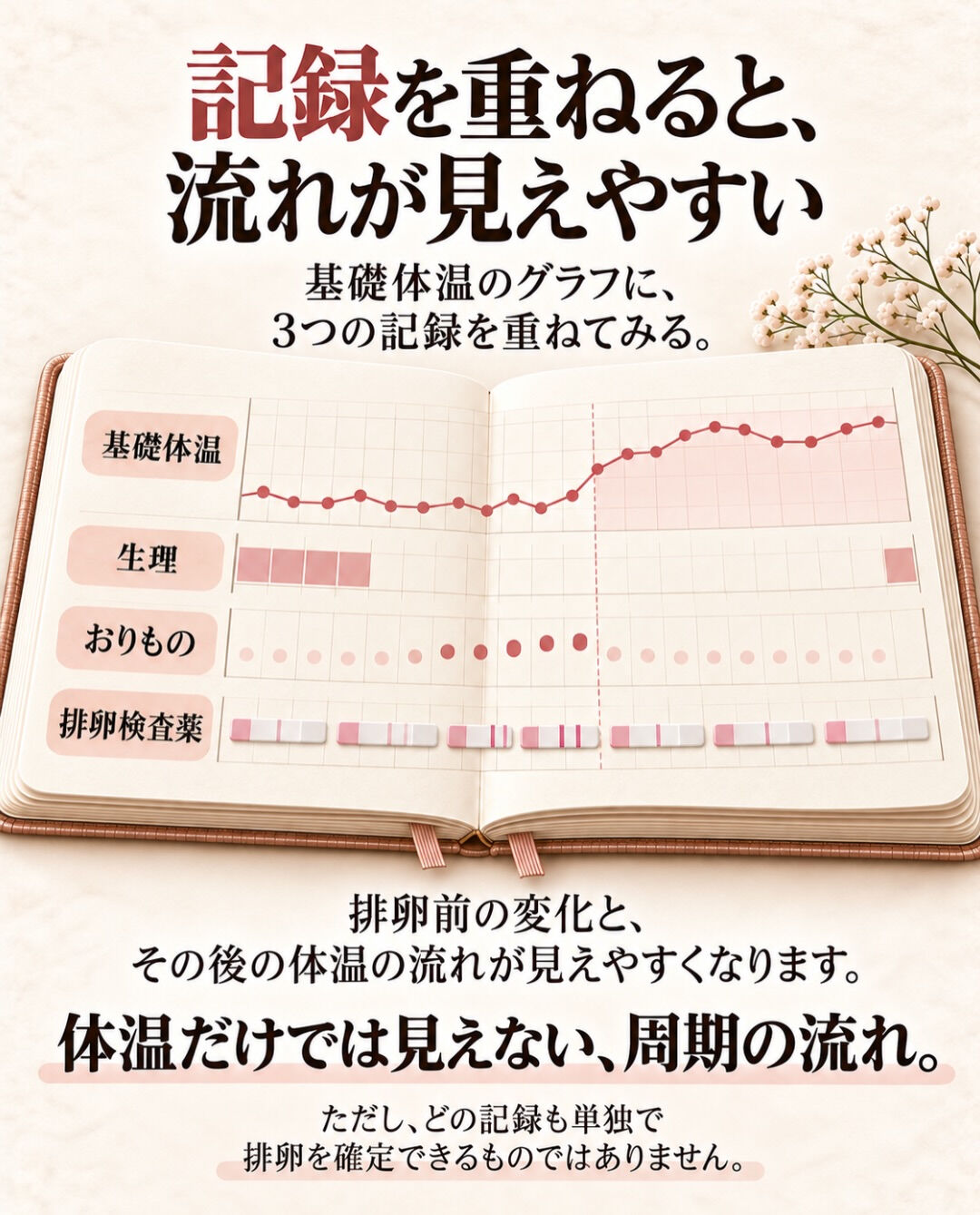 基礎体温、毎朝測っているけど、どう見ればいいの？
